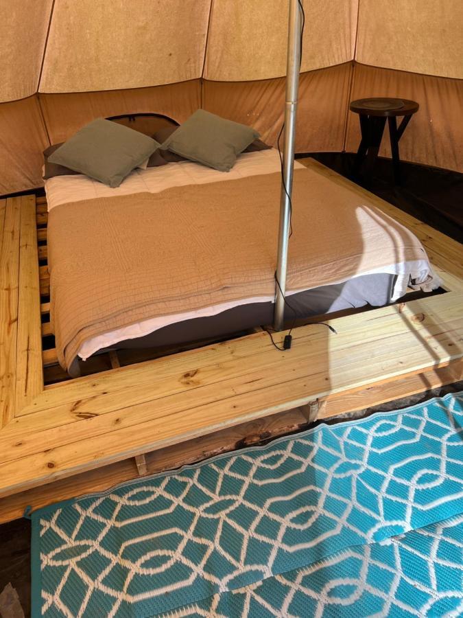Harmony Tree Resorts Inc Nashville Zewnętrze zdjęcie
