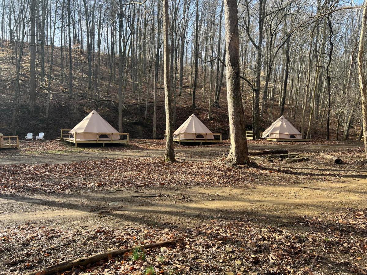 Harmony Tree Resorts Inc Nashville Zewnętrze zdjęcie